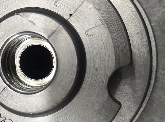 1753263446538737.jpg Mold.jpg